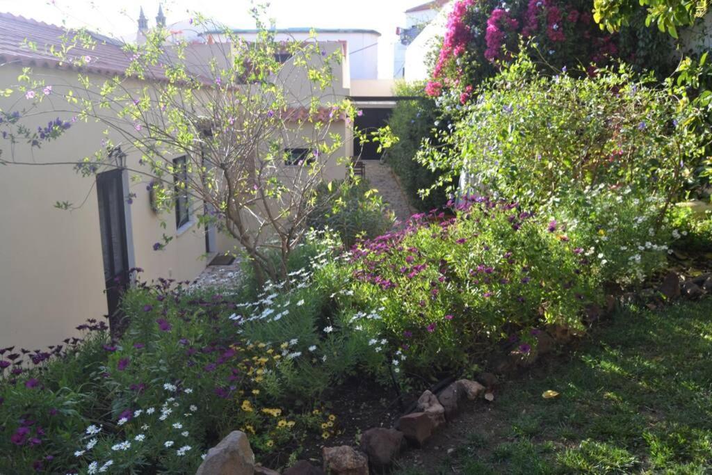 Villa Garden In The City à Silves Extérieur photo