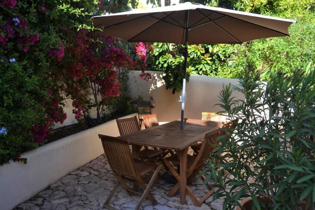 Garden In The City Silves Extérieur photo