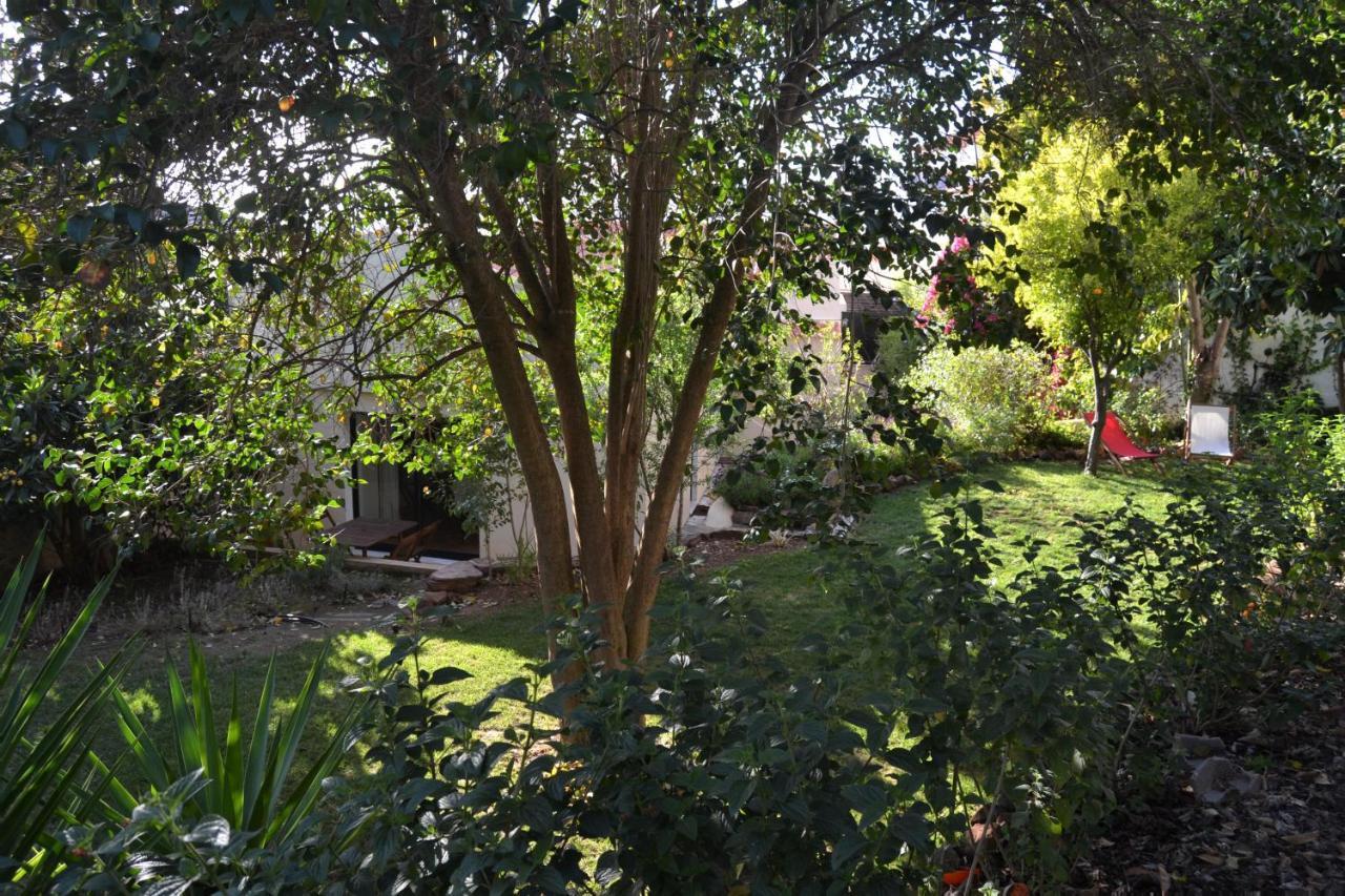Garden In The City Silves Extérieur photo
